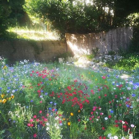 Belle Dependance De 30M2 Avec Terrasse Et Jardin Leilighet Villeneuve-lès-Avignon Eksteriør bilde