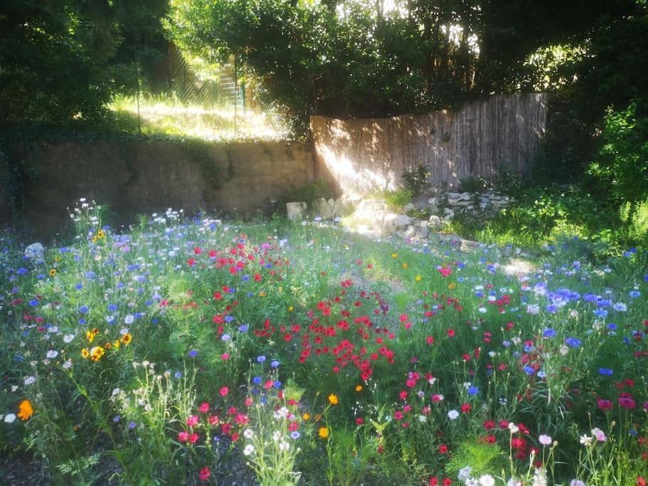 Belle Dependance De 30M2 Avec Terrasse Et Jardin Leilighet Villeneuve-lès-Avignon Eksteriør bilde